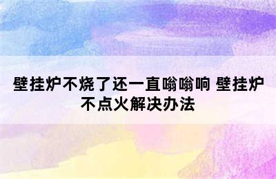 壁挂炉不烧了还一直嗡嗡响 壁挂炉不点火解决办法